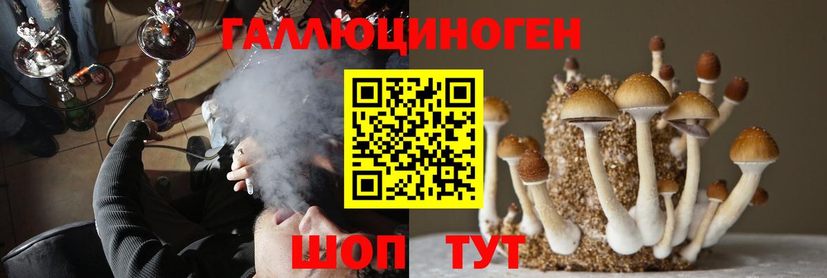 Кисловодск  Галлюциногенные грибы MAGIC MUSHROOMS  Псилоцибиновые грибы Psilocybe  Вход с VPN 