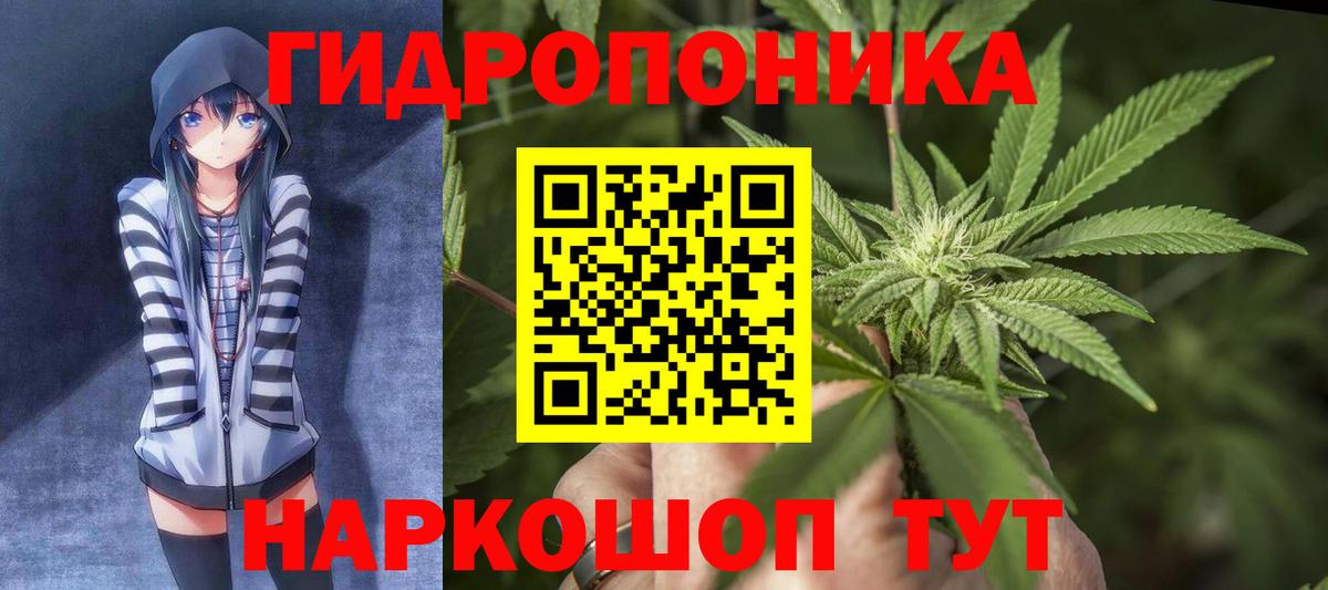 Бошки Шишки Ganja  Канабис гибрид  МАРИХУАНА планчик  Кисловодск  Вход с VPN  Конопля гибрид 
